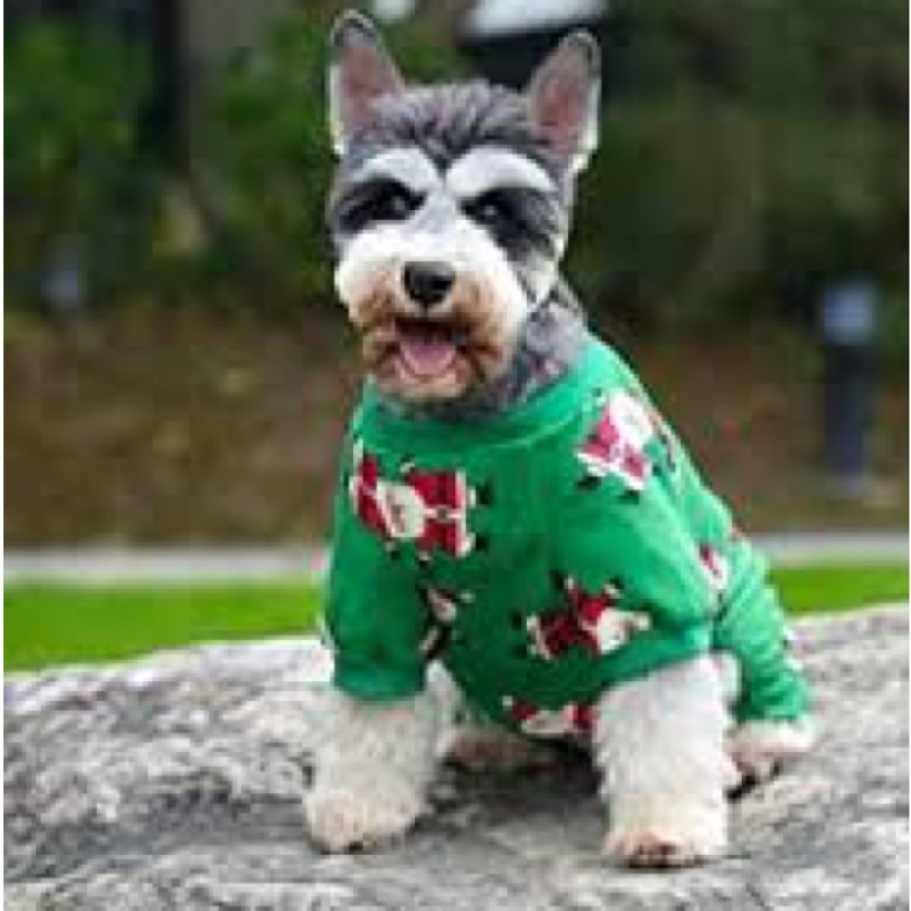 NWT Christmas Dog Pajamas - “I party with Santa!” - Size Large, 16 in. long - Picture 12 of 14